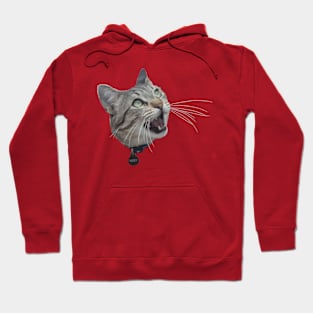 Cat 3 Hoodie